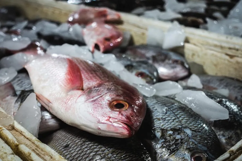 A whole red snapper on ice in a market crate